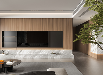 ����+���������