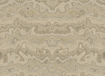 �ǲ�����