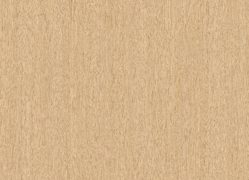 6603ѩ�����